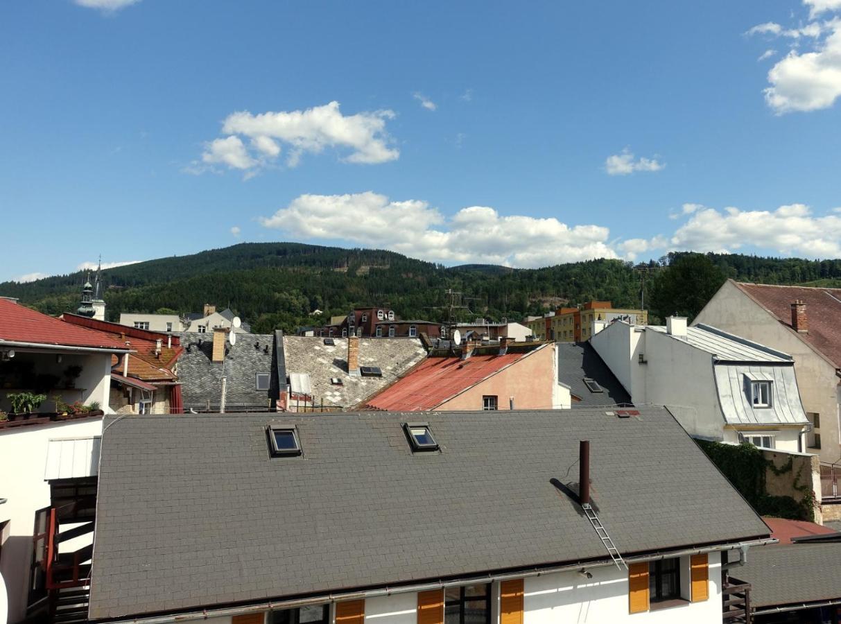 Hotel Staric Jeseník Extérieur photo